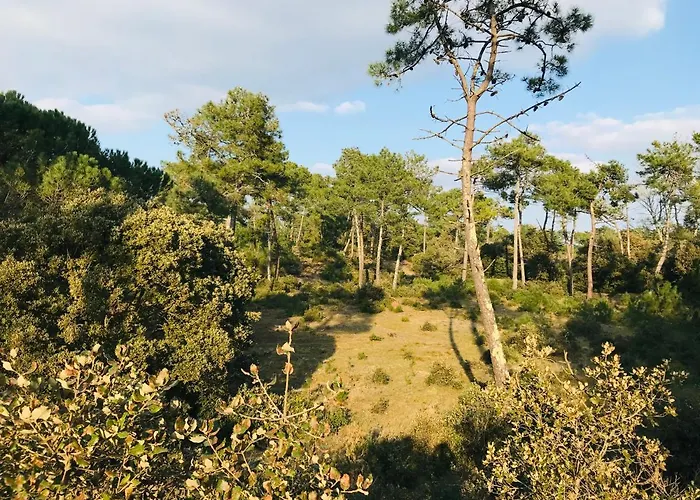 Maison Foret Et Piscine, Les Mas De Vertmarines Tatil Evi
