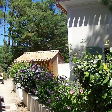 度假居 Maison Foret Et Piscine, Les Mas De Vertmarines 圣让-德蒙