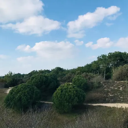 Maison Forêt Et Piscine, Les Mas De Vertmarines *