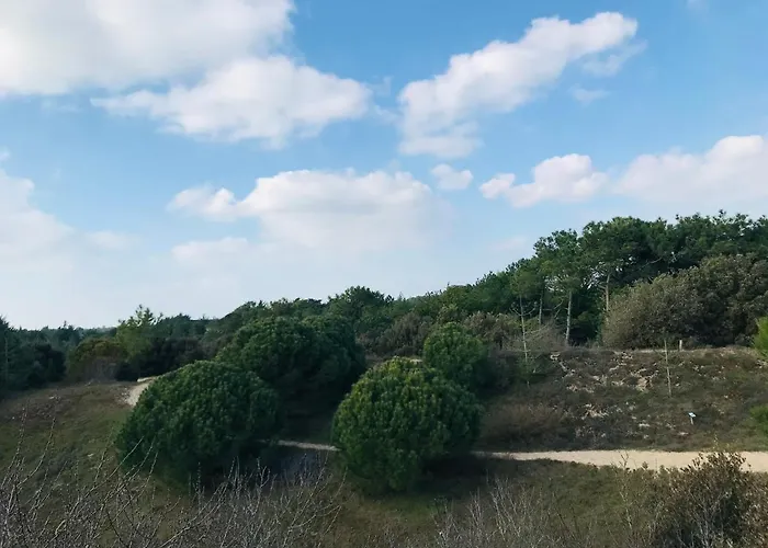 Maison Foret Et Piscine, Les Mas De Vertmarines *