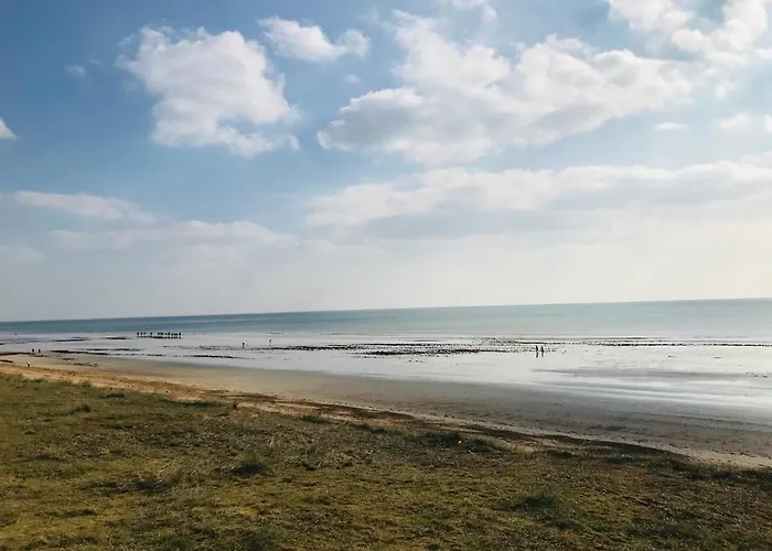 Maison Foret Et Piscine, Les Mas De Vertmarines